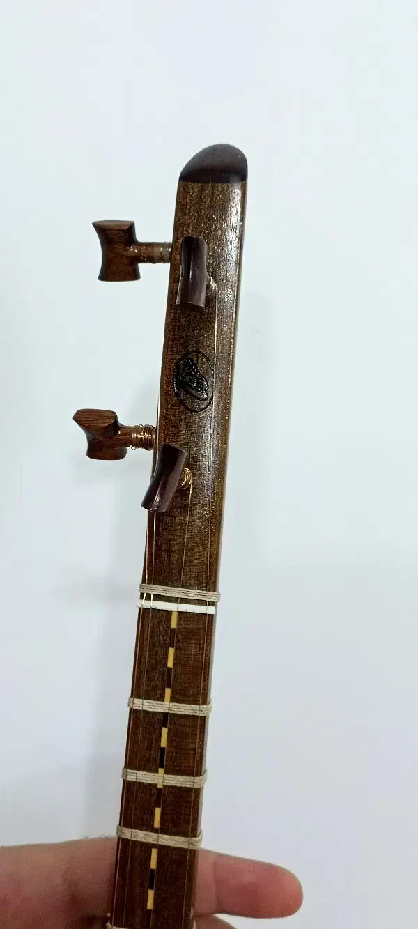 سه تار شاهرخی دو مهر اصل|سازهای سنتی|آبدانان, |دیوار