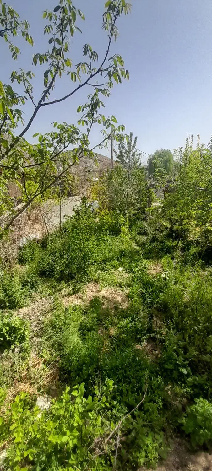 زمین ملکی ۴هکتار|فروش زمین و ملک کلنگی|مشهد, کارده|دیوار