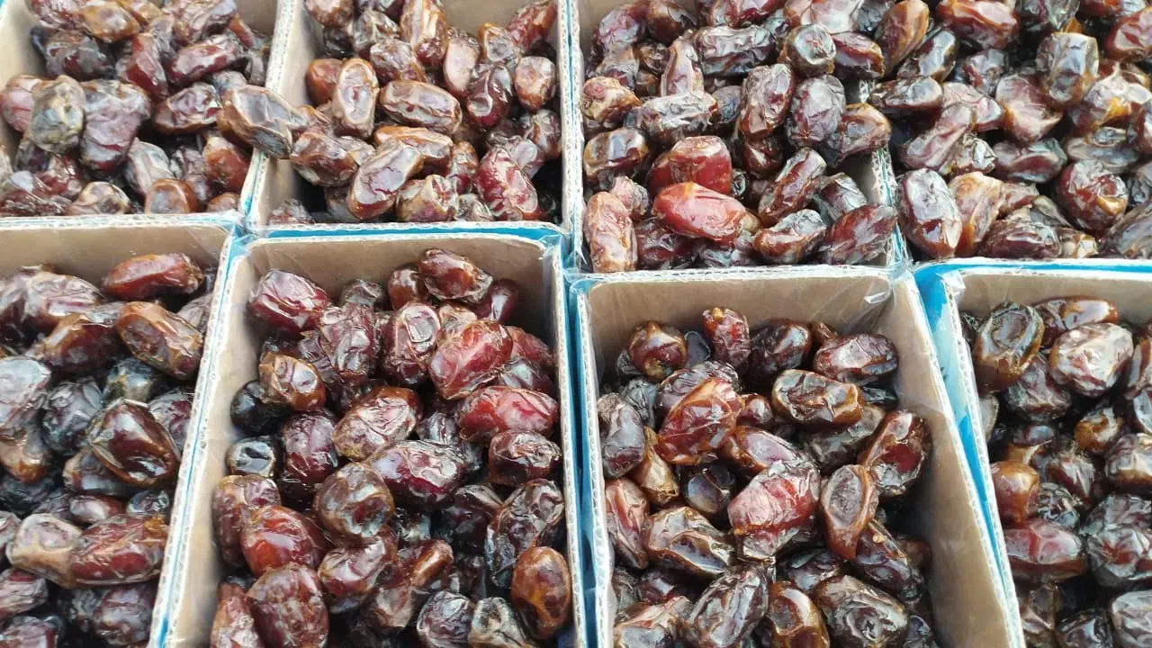 خرمای کبکاب بوشهر|خوردنی و آشامیدنی|تهران, پارک شهر|دیوار