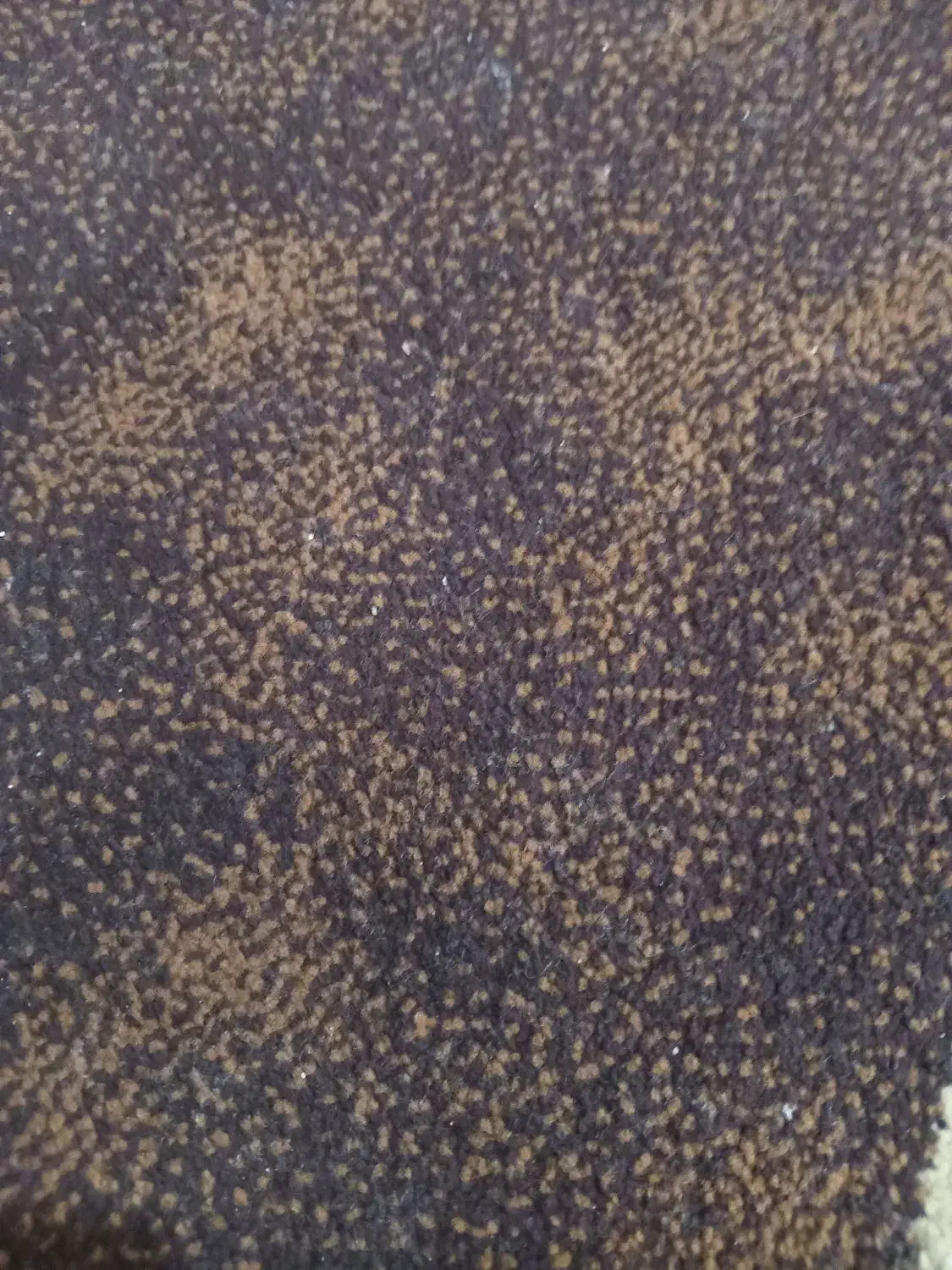 خانه ویلایی|فروش خانه و ویلا|شنبه و طسوج, |دیوار