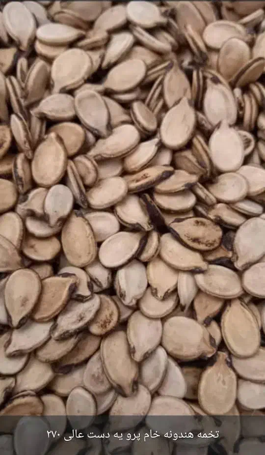 فروش درشیراز|خوردنی و آشامیدنی|شیراز, دست خضر|دیوار