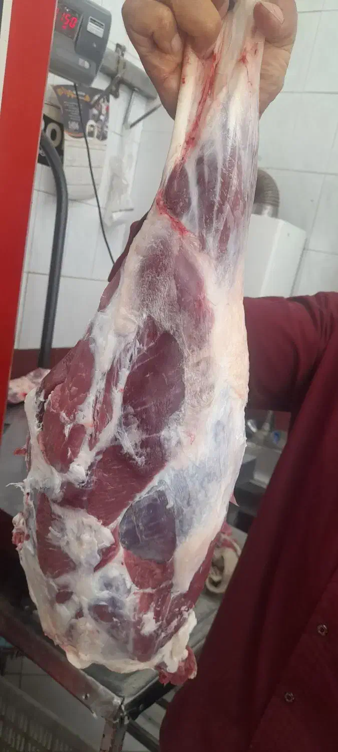 قصابی حمید گلقندشتی|خوردنی و آشامیدنی|نیشابور, فضل|دیوار