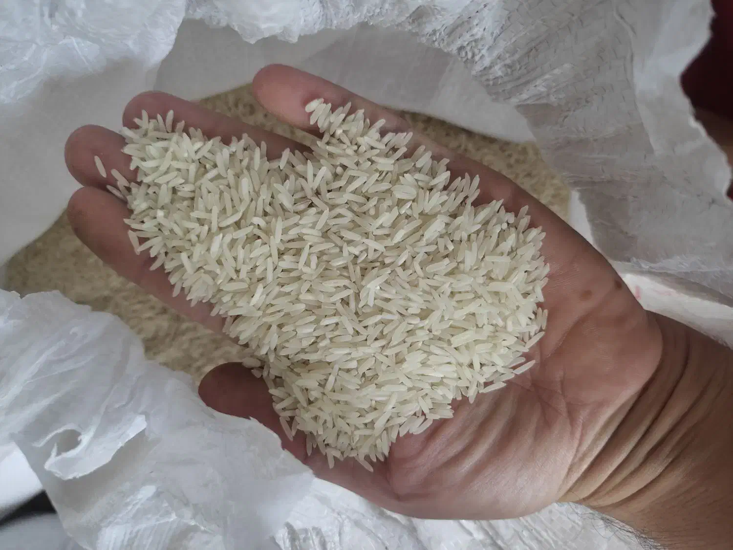 طارم عطری|خوردنی و آشامیدنی|آزادشهر, |دیوار