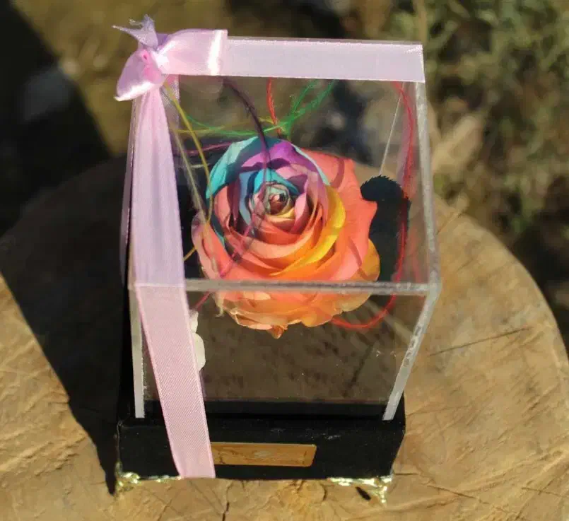 رز جاودان|گل مصنوعی|کرج, گوهردشت|دیوار