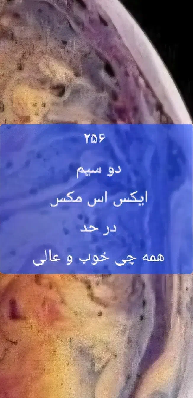 xs max 256|موبایل|تهران, پونک|دیوار