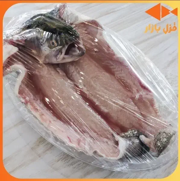 ماهی قزل الا|ماهی|طرقبه, |دیوار