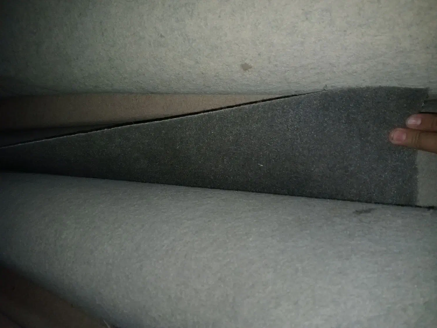 موکت نو|موکت|فلاورجان, |دیوار