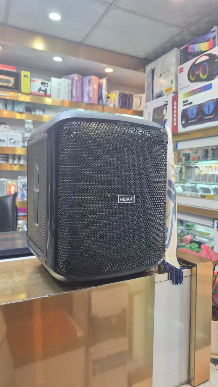 اسپیکر|سیستم صوتی خانگی|فردیس, فردیس|دیوار