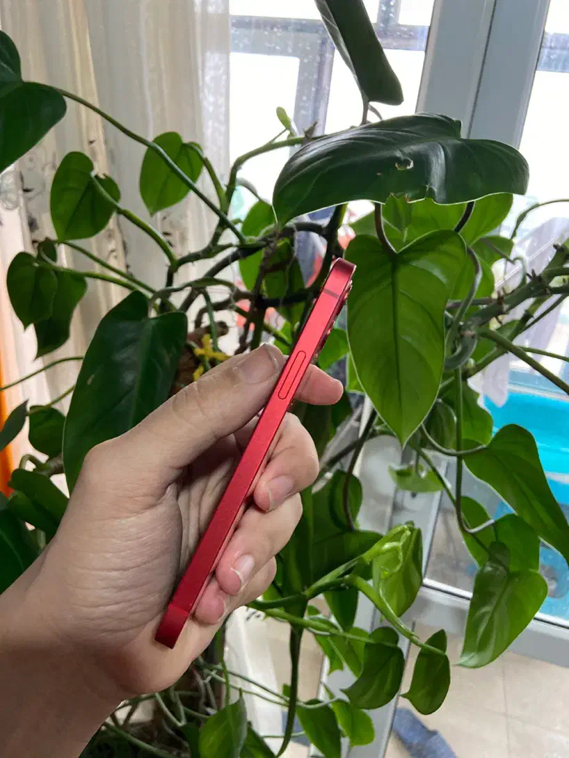 iphone 12  128G|موبایل|اهواز, رسالت|دیوار