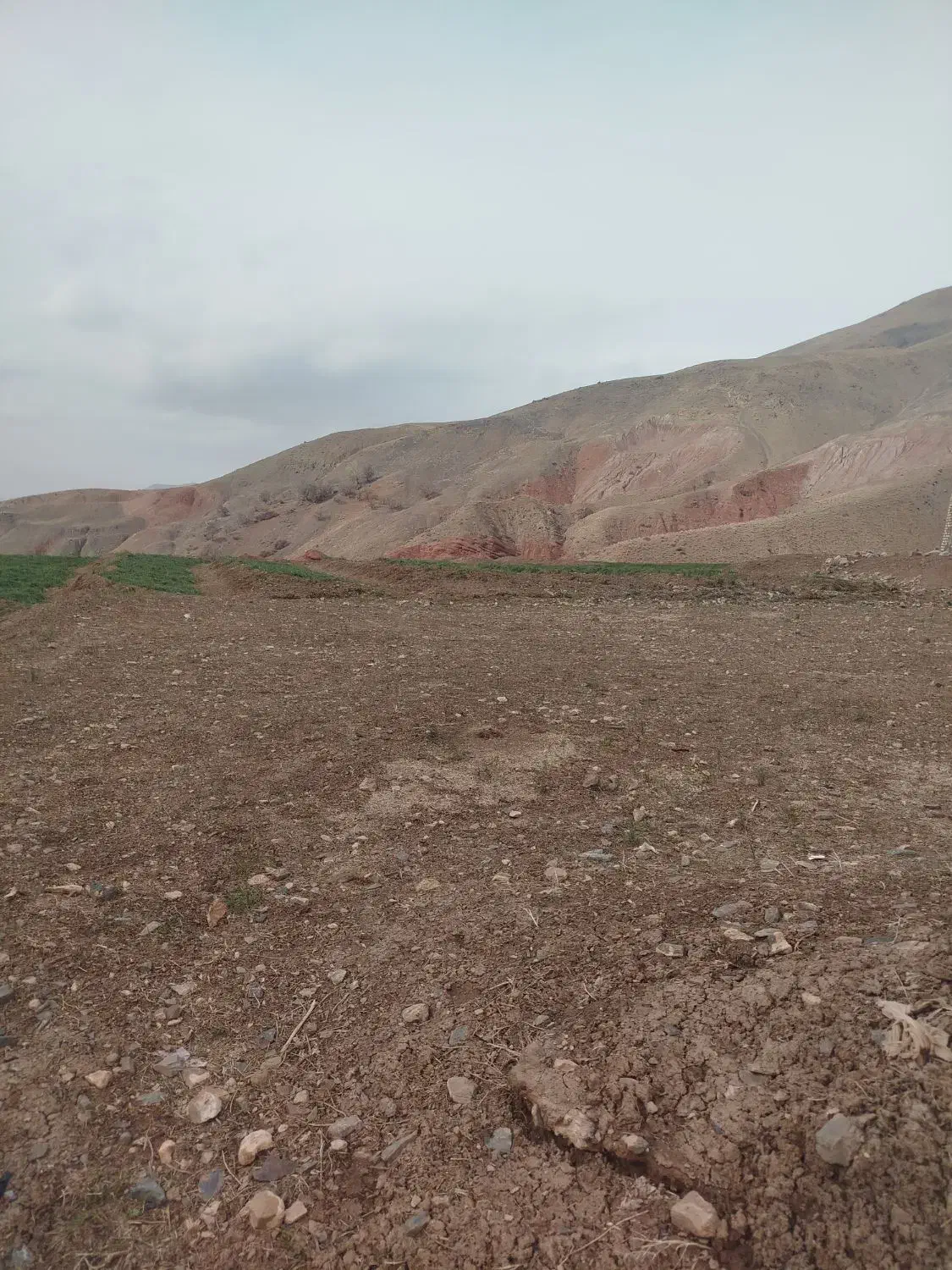 زمین فروشی|فروش زمین و ملک کلنگی|نیشابور, مازول|دیوار