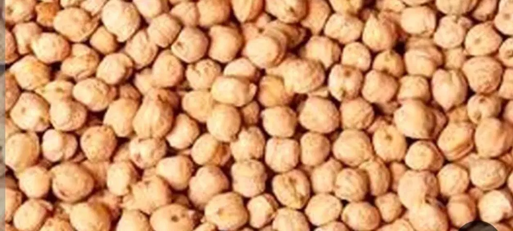 نخود|خوردنی و آشامیدنی|سردرود, |دیوار