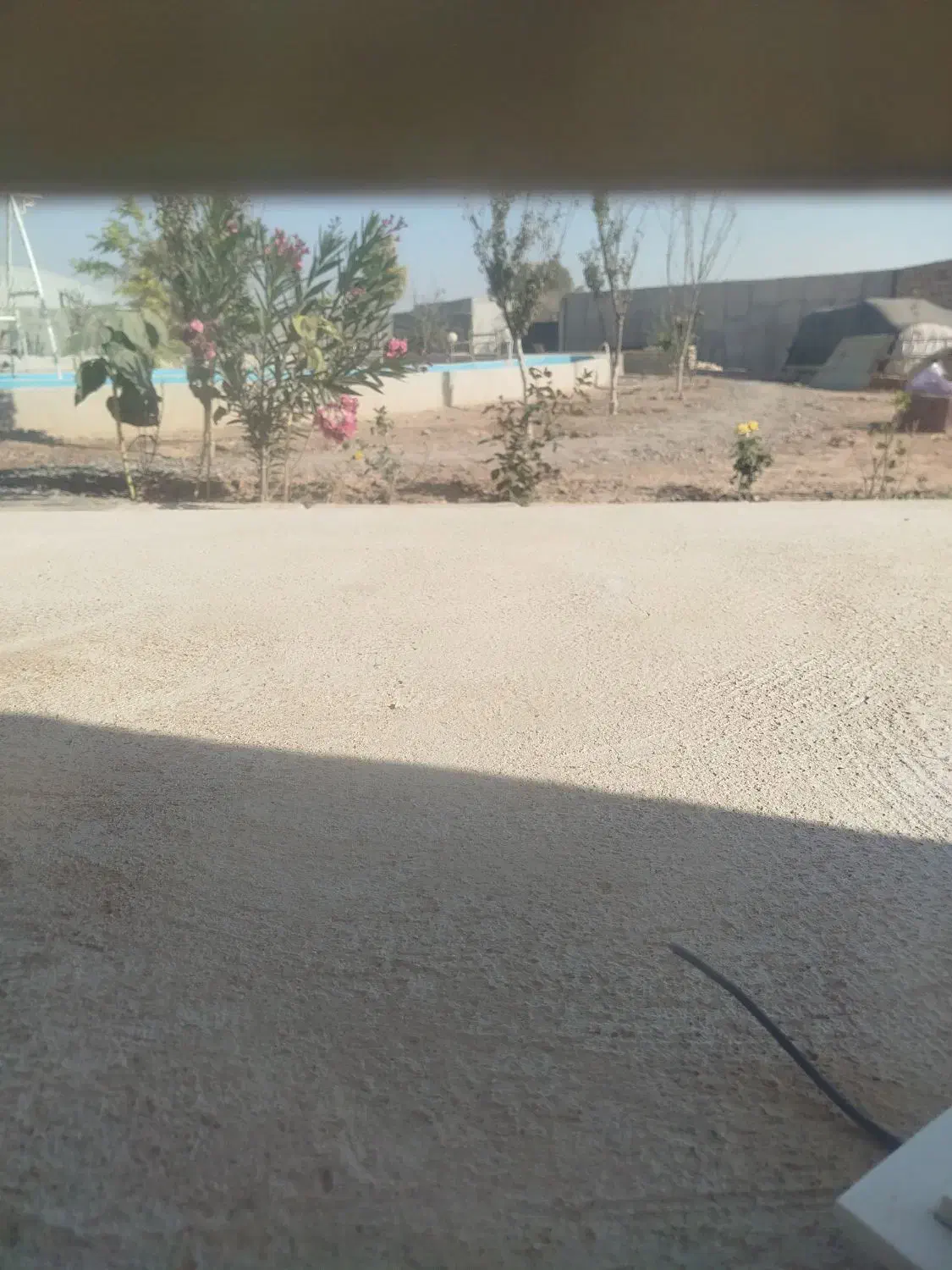 مرغ و خروس وغاز واردک وبوغلمو|حیوانات مزرعه|بشاریات, |دیوار