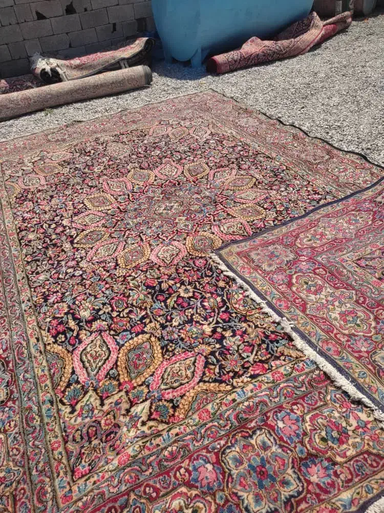 قالی ۱۲ متری نقش اردبیلی|فرش|کرمان, |دیوار