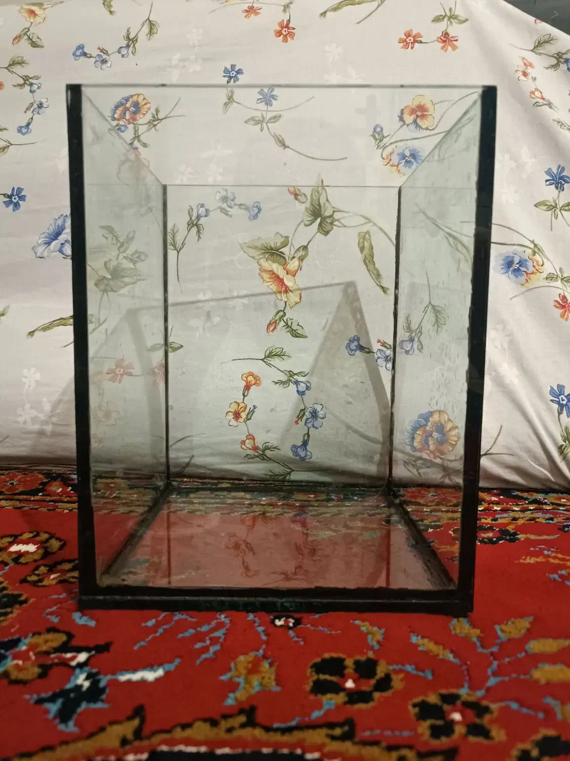 ۲ عدد اکواریوم و تمامی لوازم|ماهی|قدس, شهرقدس|دیوار