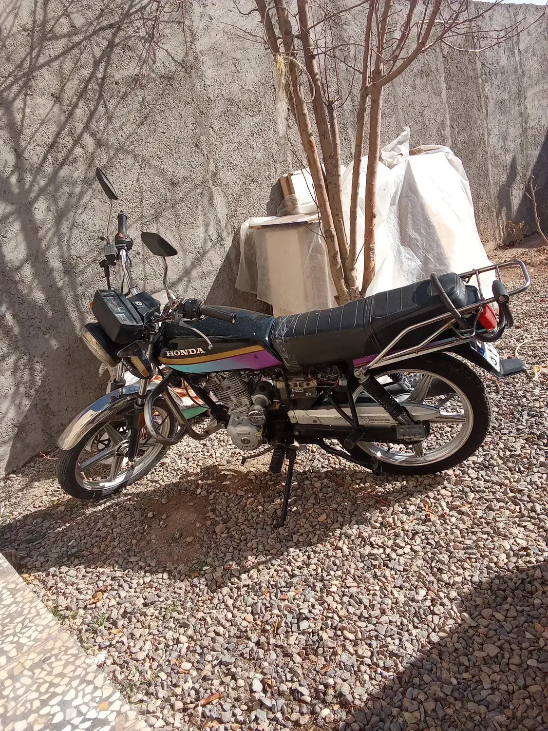 خر 200|حیوانات مزرعه|بوئین زهرا, |دیوار