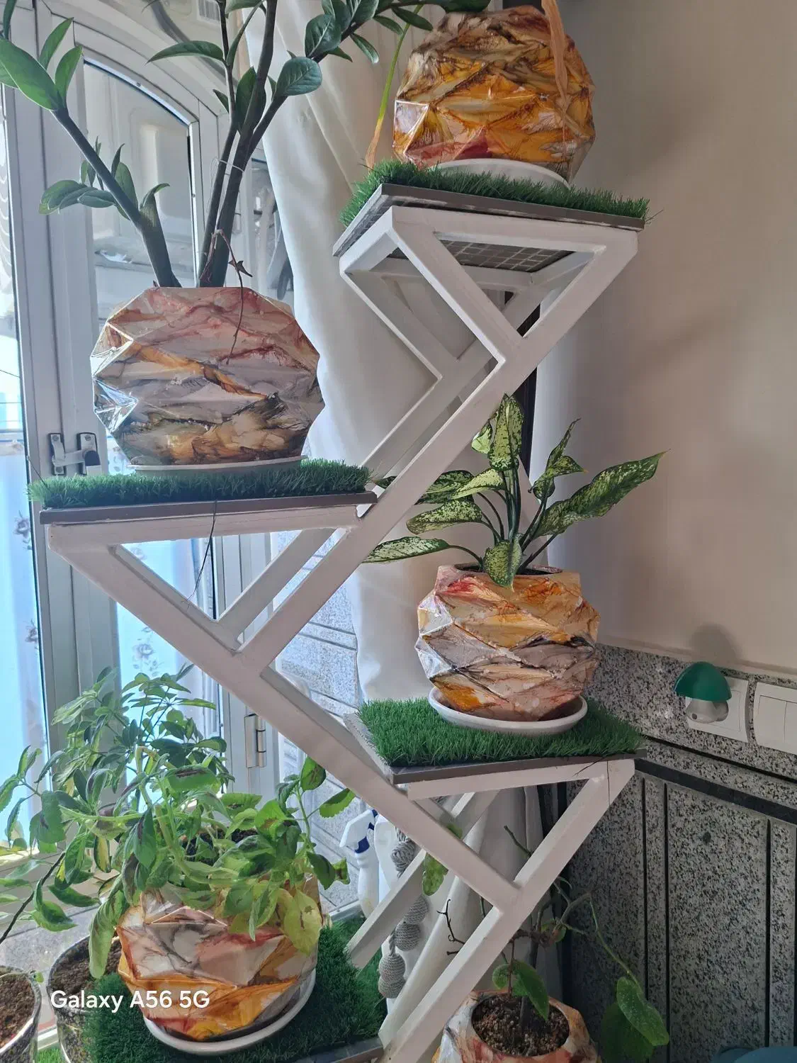 گلدان سفالی|گل و گیاه طبیعی|خمینی‌شهر, |دیوار