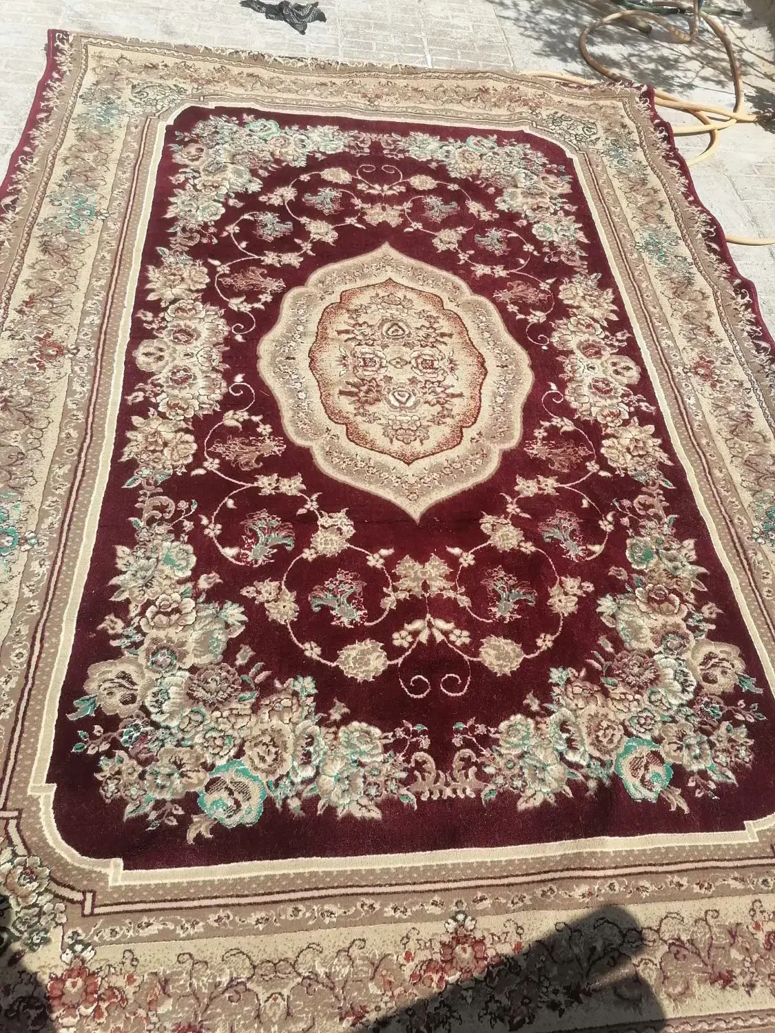 پشتی  کناره قالی|پشتی|تربت‌حیدریه, قائم|دیوار