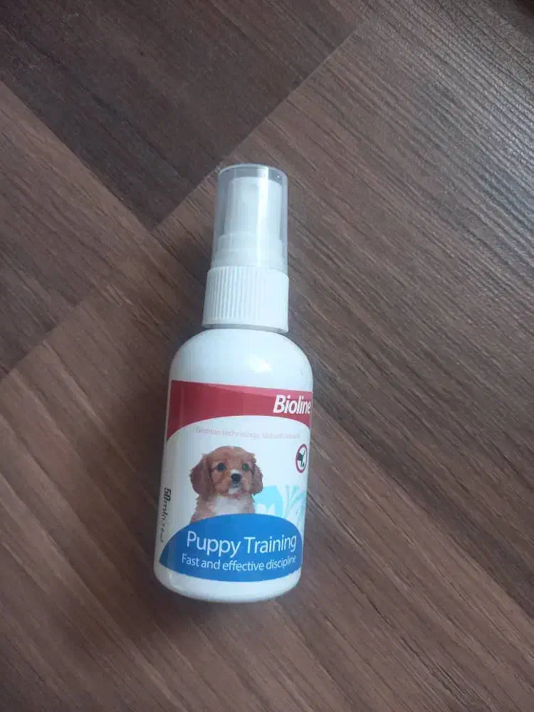 وسایل لازم پت که قابل استفاده هست.|لوازم جانبی حیوانات|تهران, سلسبیل شمالی|دیوار