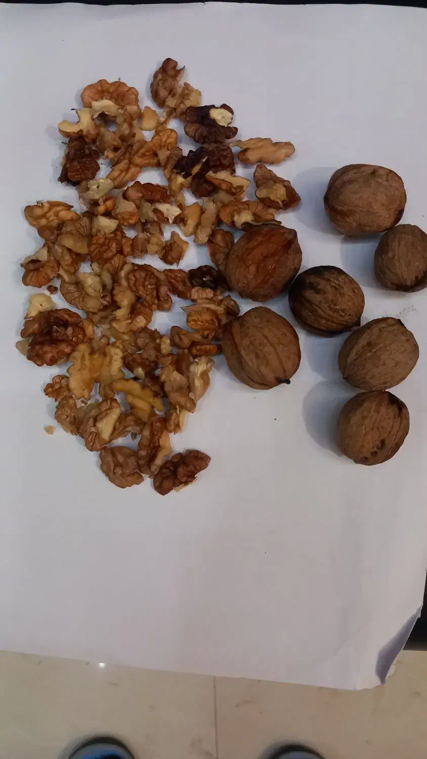 گردو ایرانی ارسالی خشک و چرب و پر مغز|خوردنی و آشامیدنی|مشهد, کارمندان دوم|دیوار