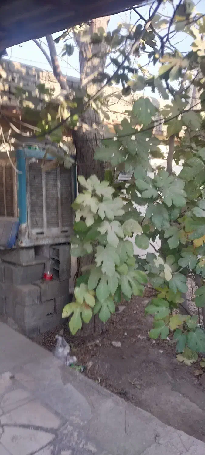 کارگاه جهت نجاری کفاشی . مبل و غیره|اجارهٔ خانه و ویلا|اسلام‌شهر, شهرک امام حسین (میان آباد)|دیوار