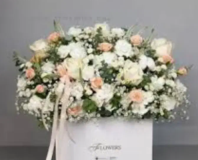 خاصترین ها|گل و گیاه طبیعی|قزوین, |دیوار