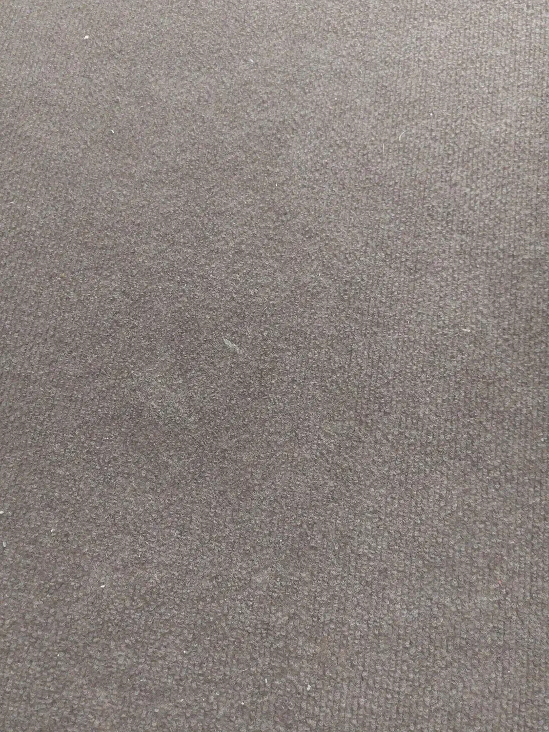 موکت|موکت|مشهد, گلبرگ شمالی|دیوار