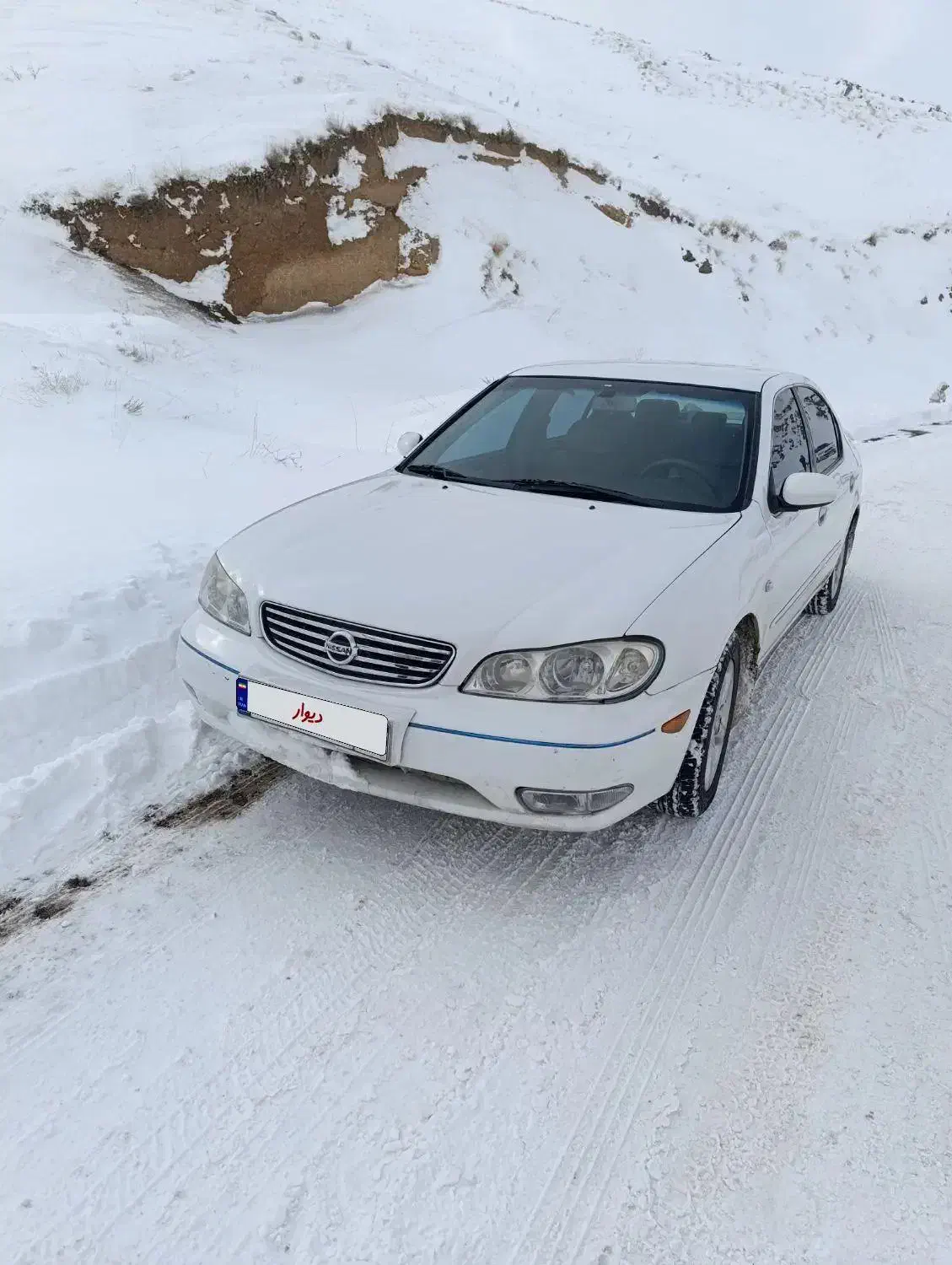 ماکسیما ۸۸|خودرو سواری و وانت|قزوین, |دیوار