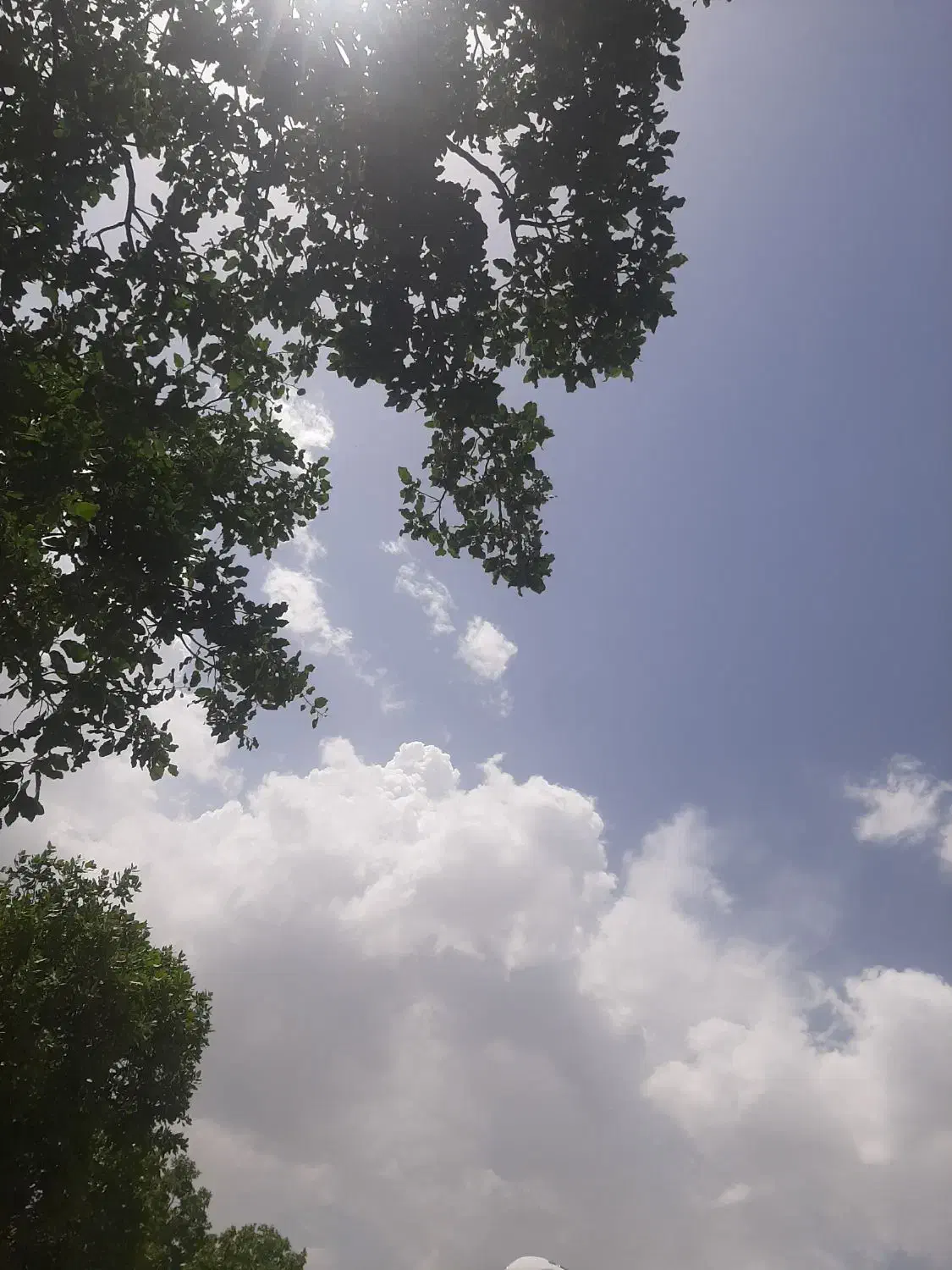 ویپاد|کارت هدیه و تخفیف|بوکان, |دیوار