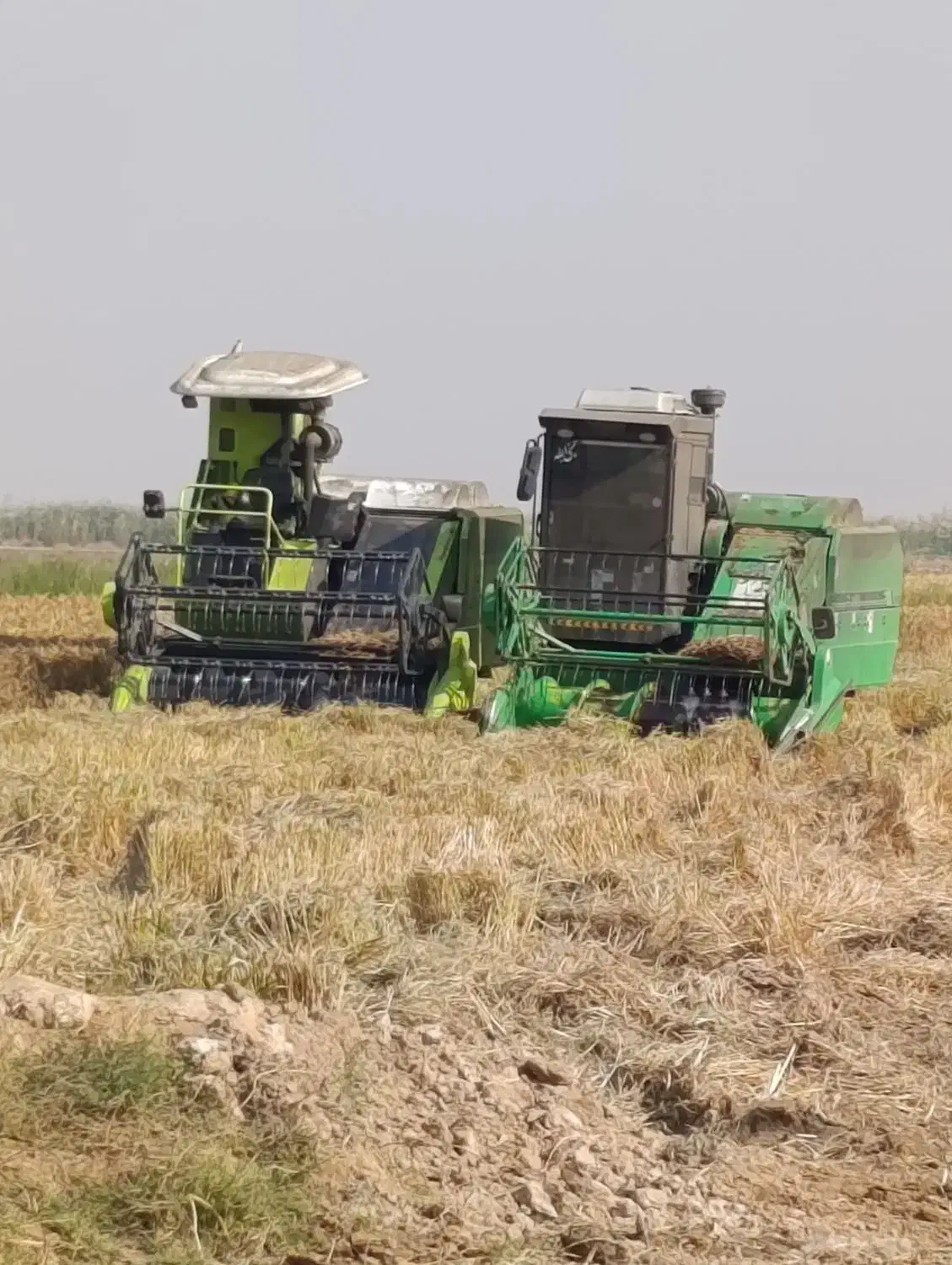 کمباین برای کاردرشوشتر|خودرو سنگین|شوشتر, |دیوار
