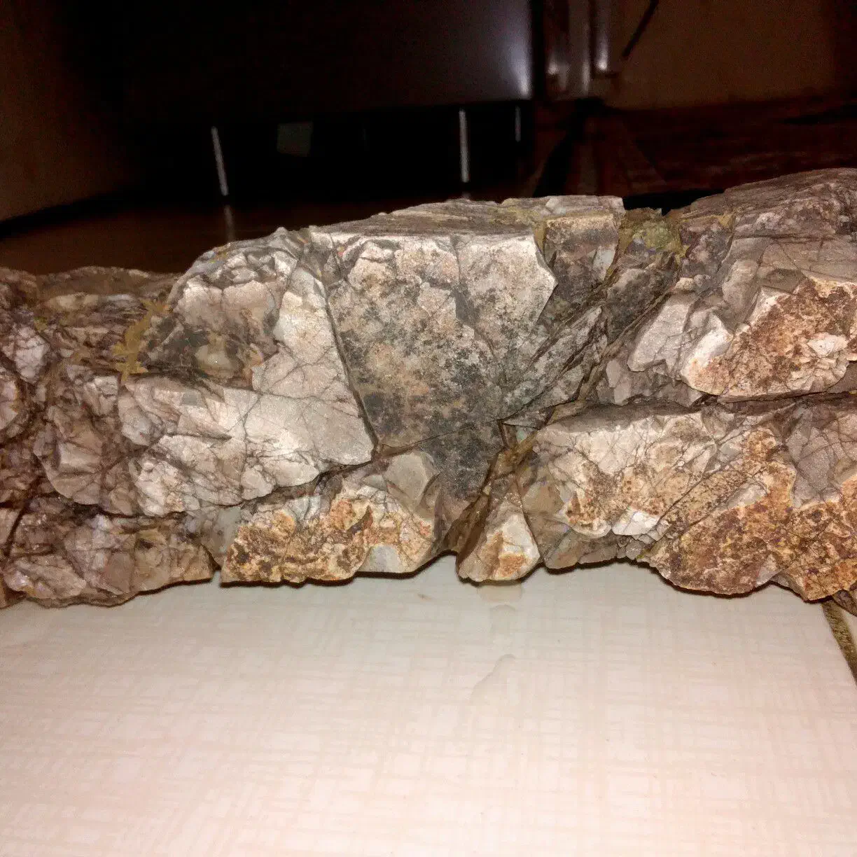 سنگ آکواریوم|ماهی|ماهیدشت, |دیوار