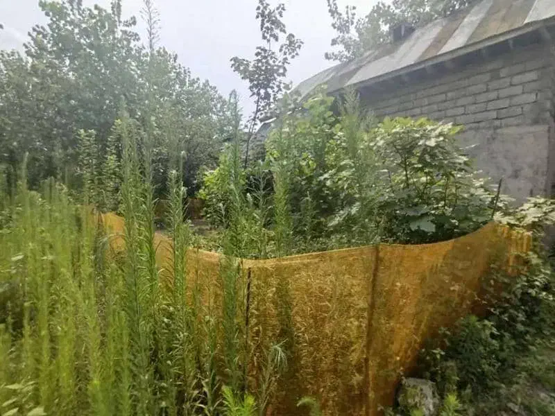 فروش فوری ویلا با زمین 180 متر شهر رودبنه|فروش زمین و ملک کلنگی|رودبنه, |دیوار