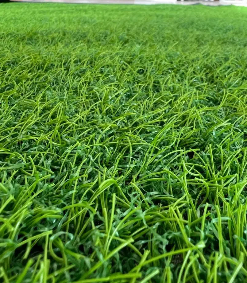 چمن مصنوعی|مصالح و تجهیزات ساختمان|شاهینشهر, گرگاب|دیوار