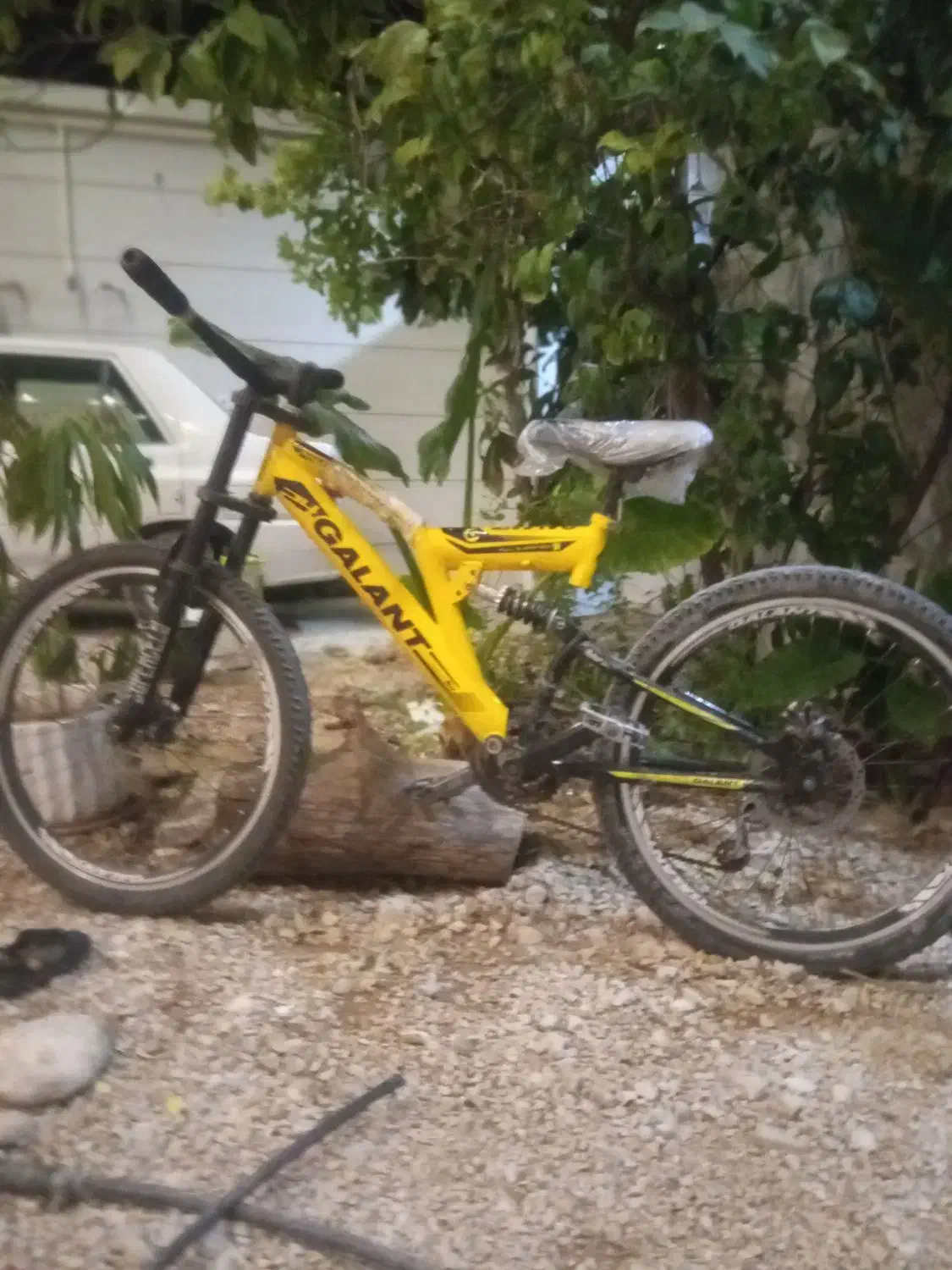 دوچرخه ۲۴ گالانت|دوچرخه، اسکیت، اسکوتر|جهرم, |دیوار