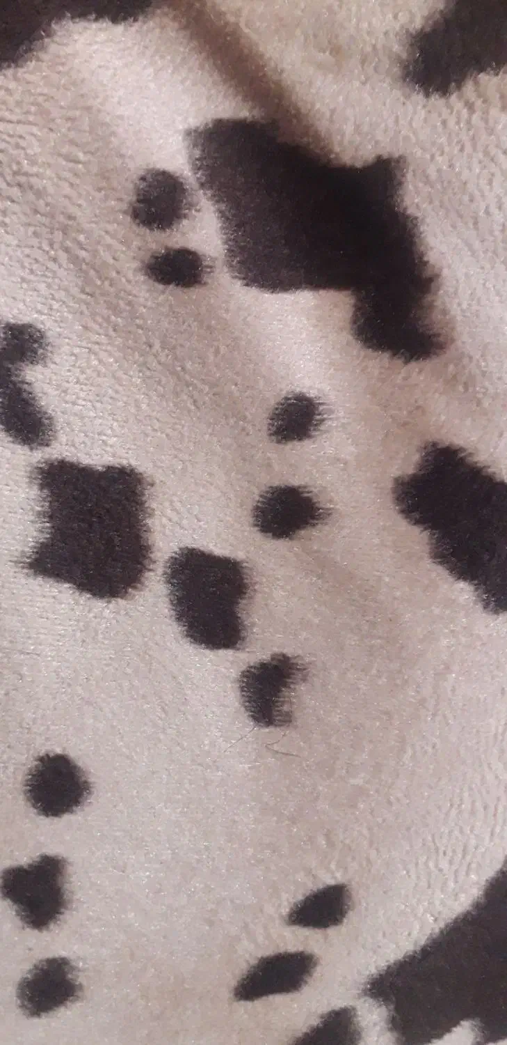 دنبال کارساختمانی هستم|خدمات پیشه و مهارت|دورود, |دیوار