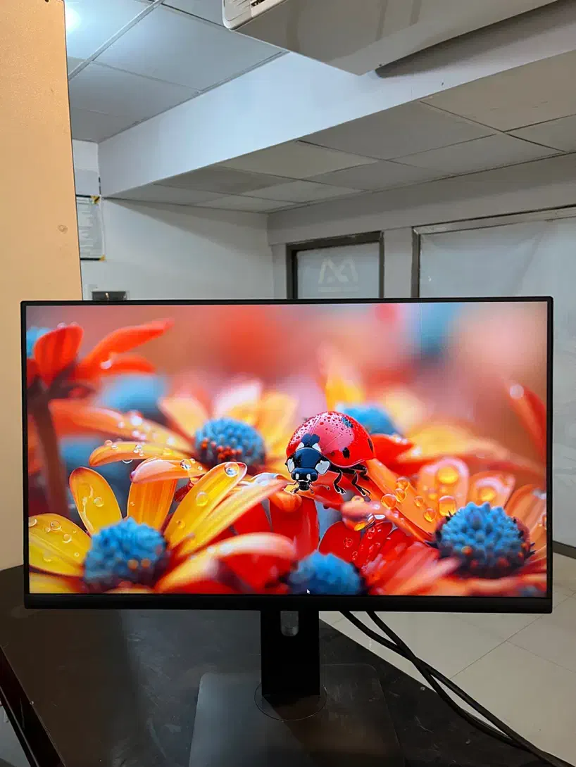 مانیتور Dell P2422He پنل IPS تایپ سی خور|قطعات و لوازم جانبی رایانه|قم, انسجام|دیوار