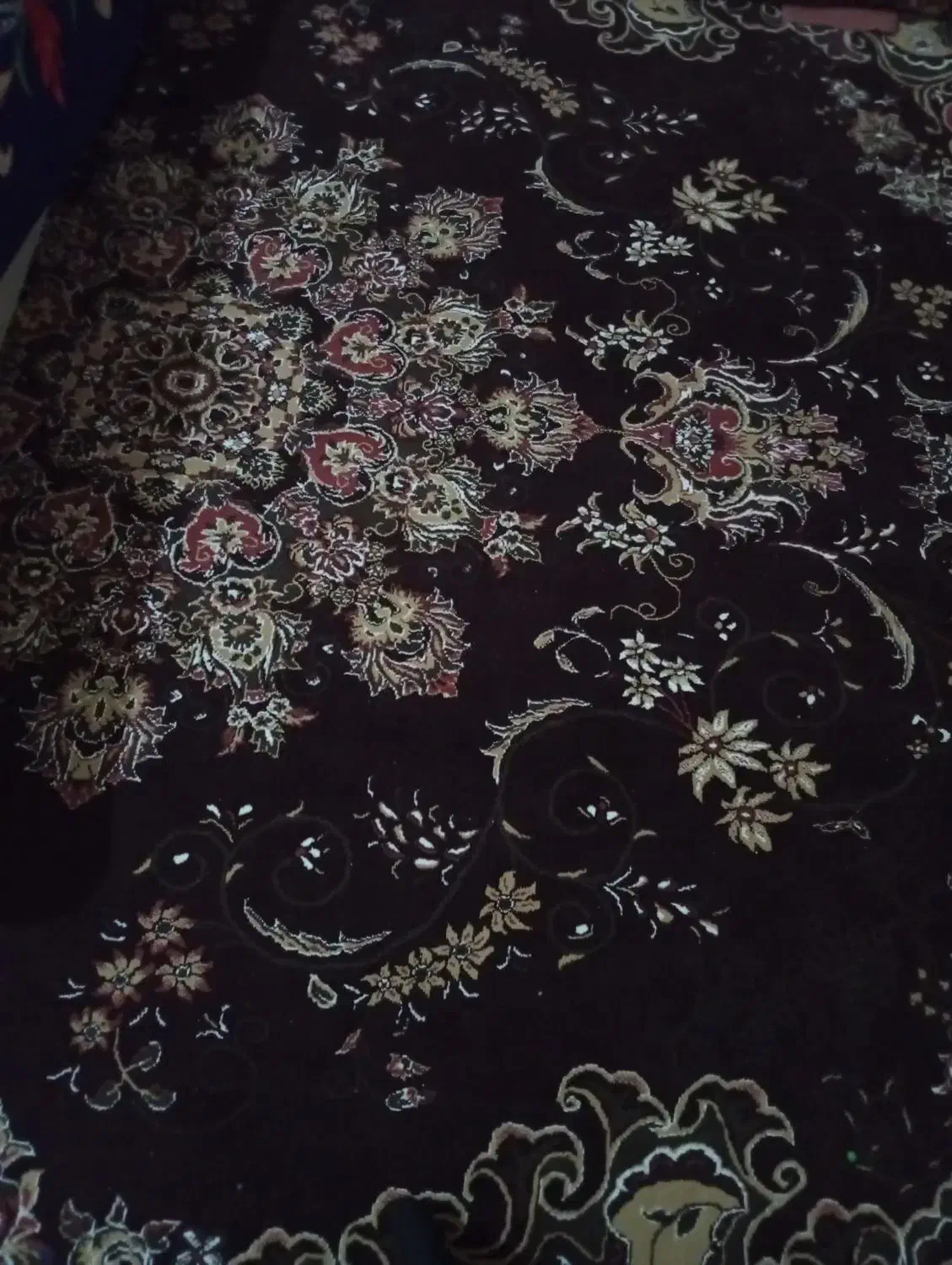 دوتا فرش درحدنو|فرش|جم, |دیوار