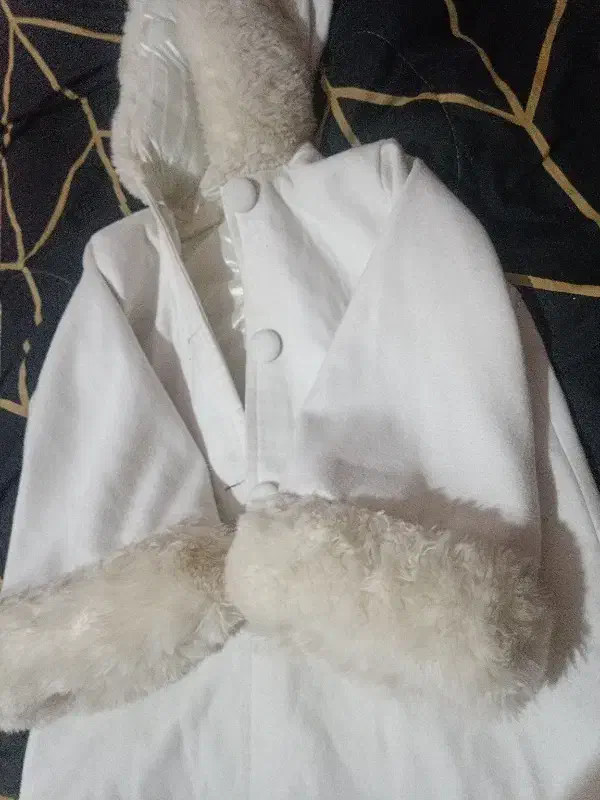 لباس|لباس|آبادان, |دیوار