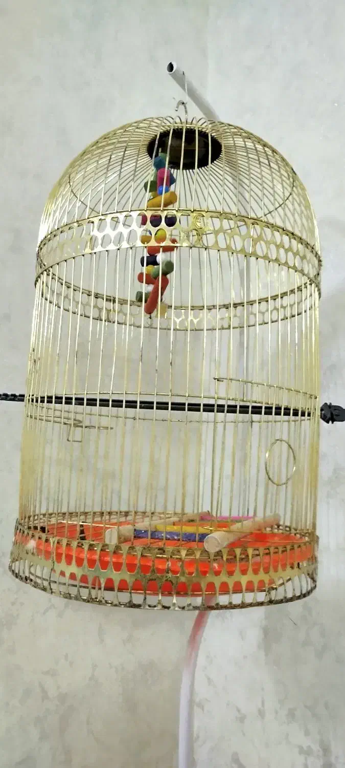 قفس پرنده گرد با پایه|لوازم جانبی حیوانات|مشهد, هنرور|دیوار