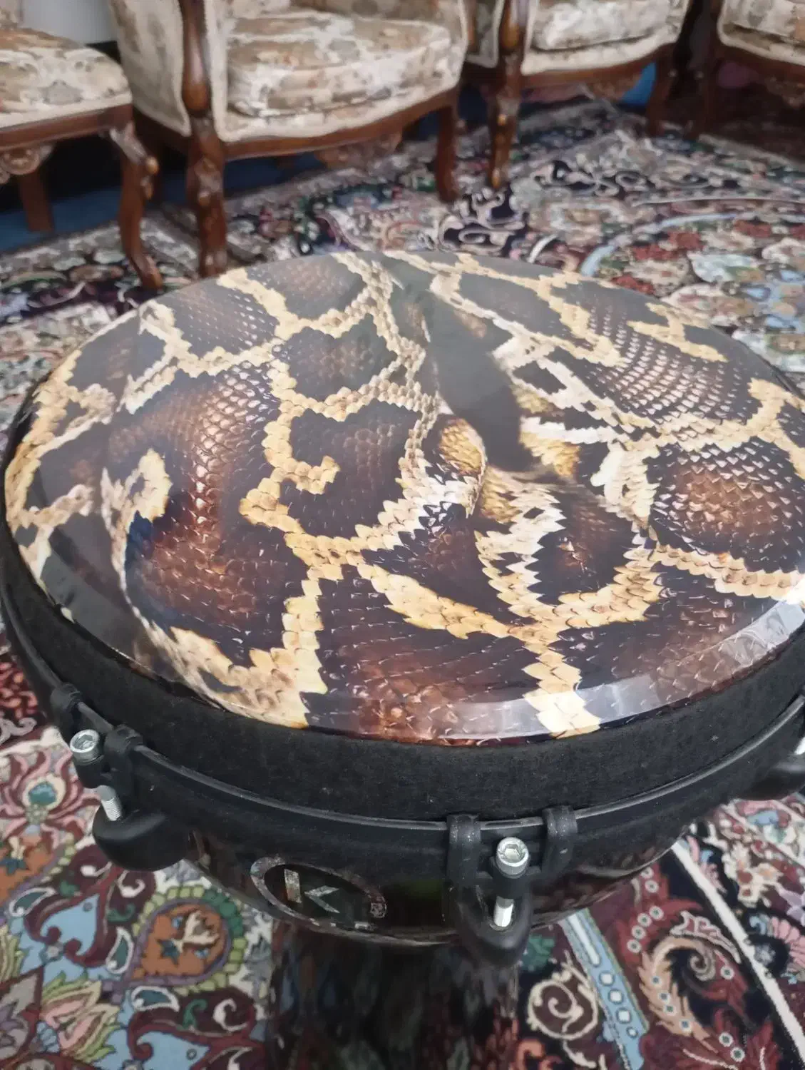 ساز جیمبی|درام و پرکاشن|قزوین, |دیوار