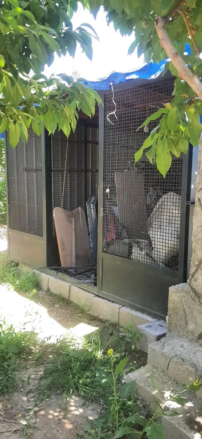 کانکس برای نگهداری مرغ و خروس و سگ|لوازم جانبی حیوانات|نوشین شهر, |دیوار