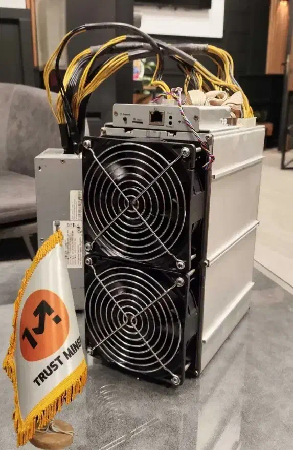 خرید مستقیم از وارد کننده m30 m60 s19 z15 m61 z11|قطعات و لوازم جانبی رایانه|مشهد, ارشاد|دیوار