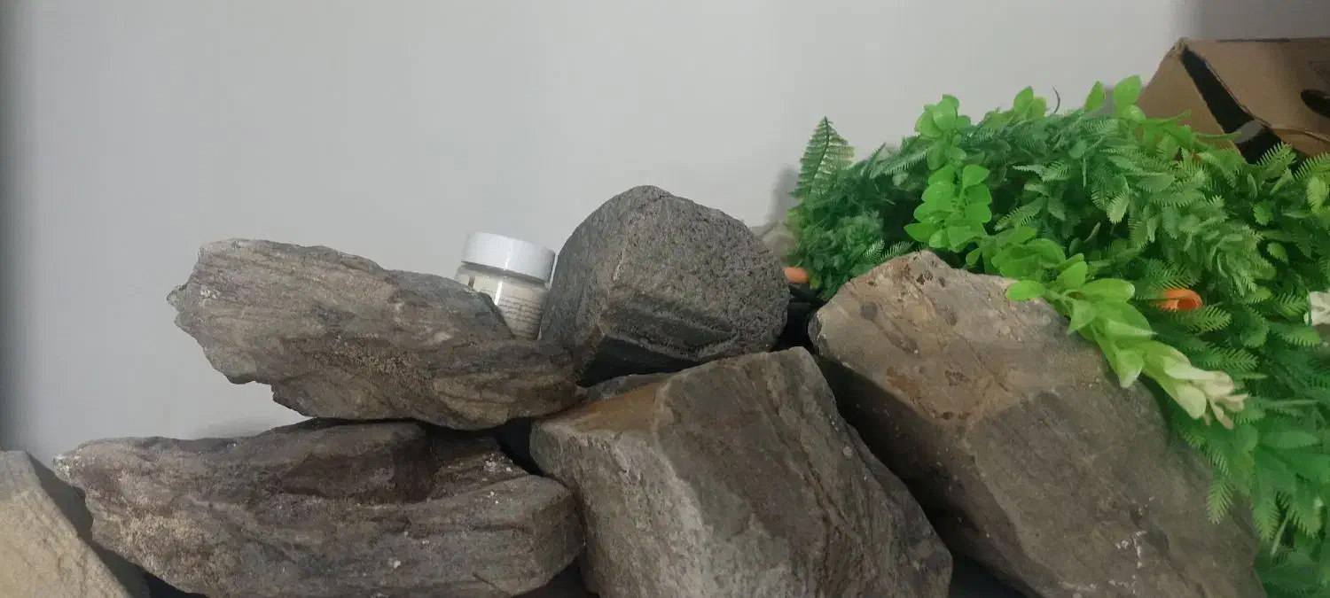 اکواریوم بزرگ همراه وسایل|ماهی|مشهد, طلاب|دیوار