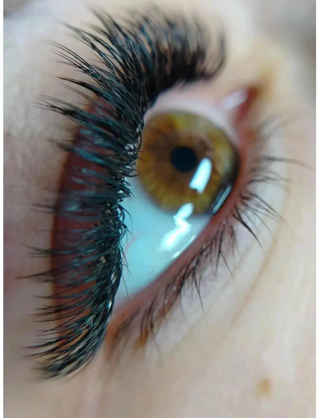 اکستنشن مژه لیفت ابرو و مژه|خدمات آرایشگری و زیبایی|زرند, |دیوار