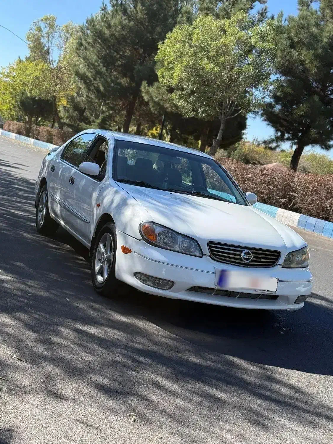 ماکسیما اتوماتیک مدل 85|خودرو سواری و وانت|تبریز, |دیوار