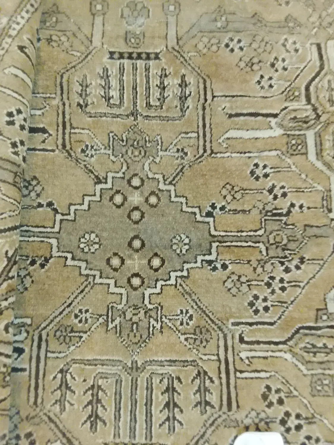 دو تا فرش12و3متری قدمت قاجار دست بافت|فرش|لواسان, |دیوار