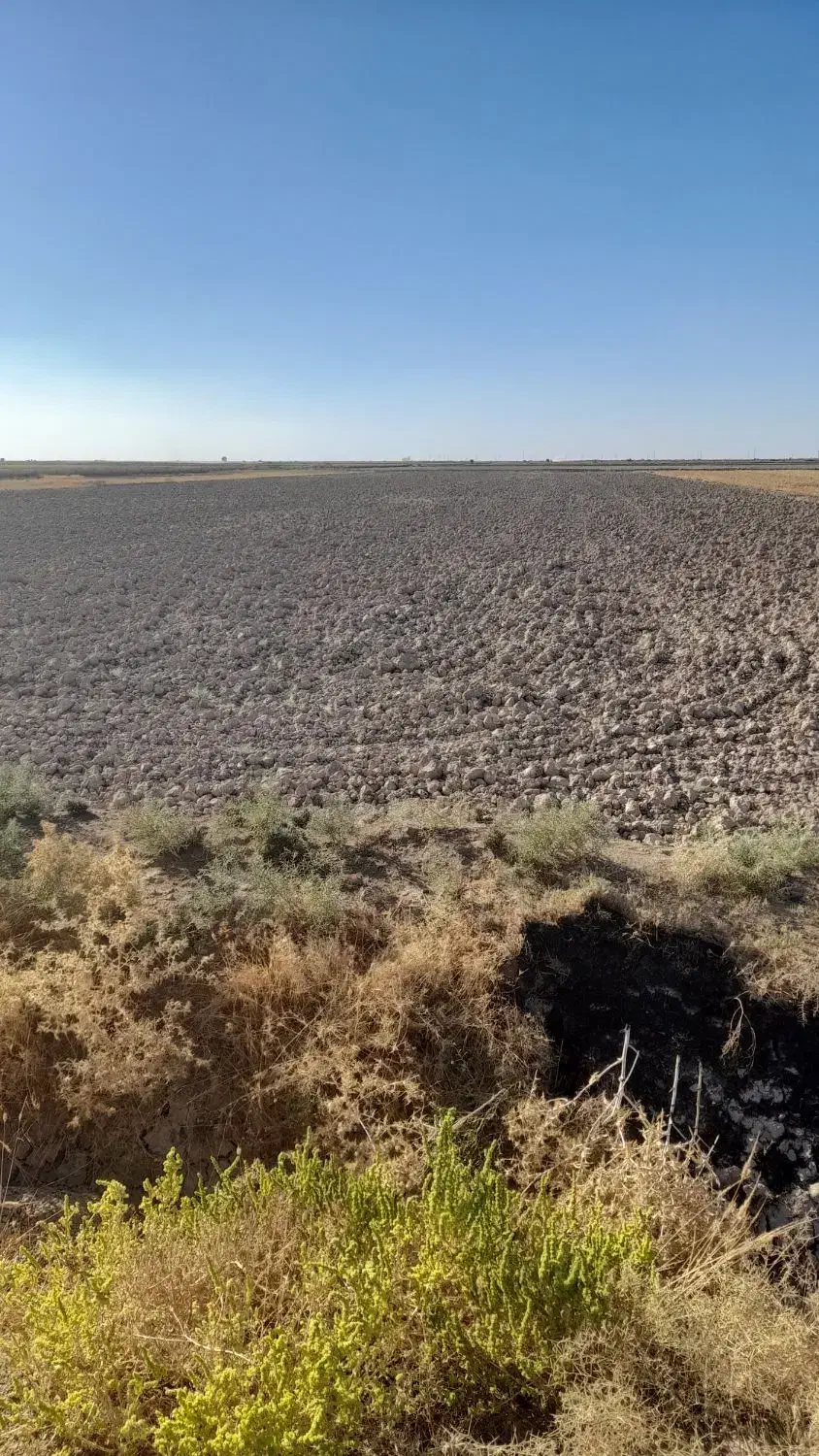 زمین کشاورزی غرق آبی به مساحت ۱.۷ هکتار|فروش دفتر صنعتی، کشاورزی، تجاری|سوسنگرد, |دیوار