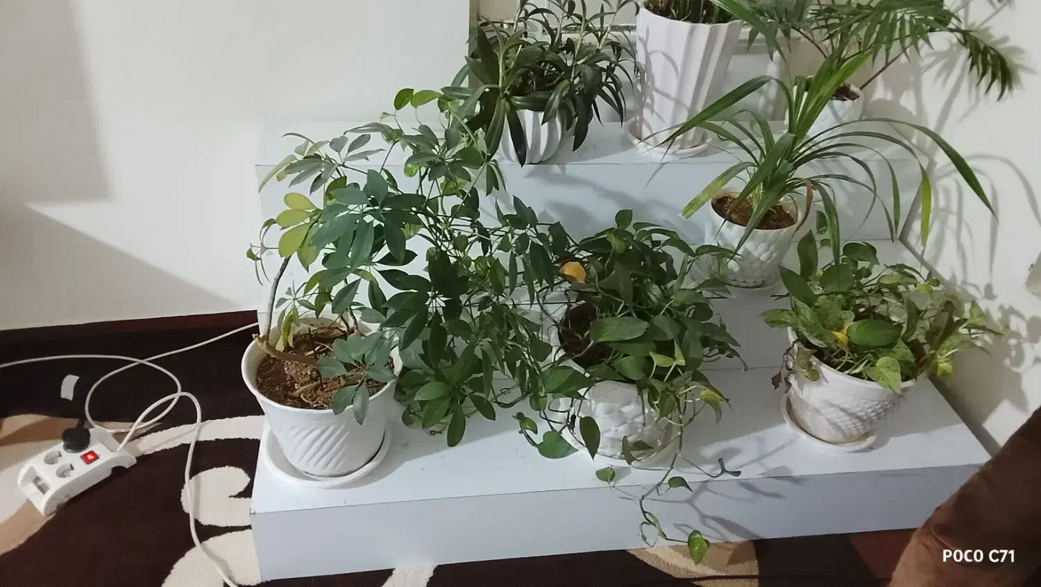 میز گلدون|کتابخانه، شلف، قفسههای دیواری|ایذه, |دیوار