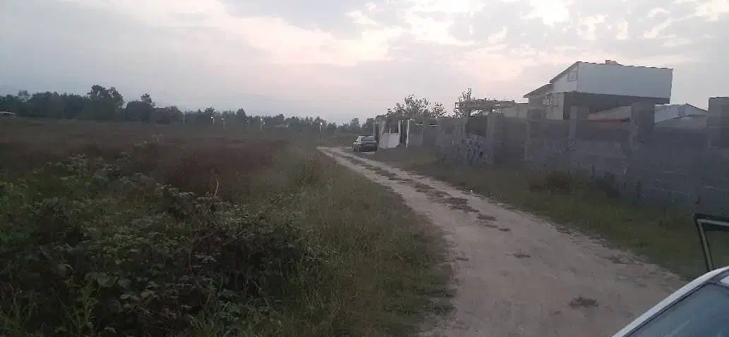 فروش فوری زمین در آقاسید شریف، زیر قیمت|فروش زمین و ملک کلنگی|شفت, |دیوار