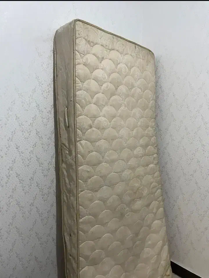 تشک|تشک تختخواب|اهواز, امانیه|دیوار