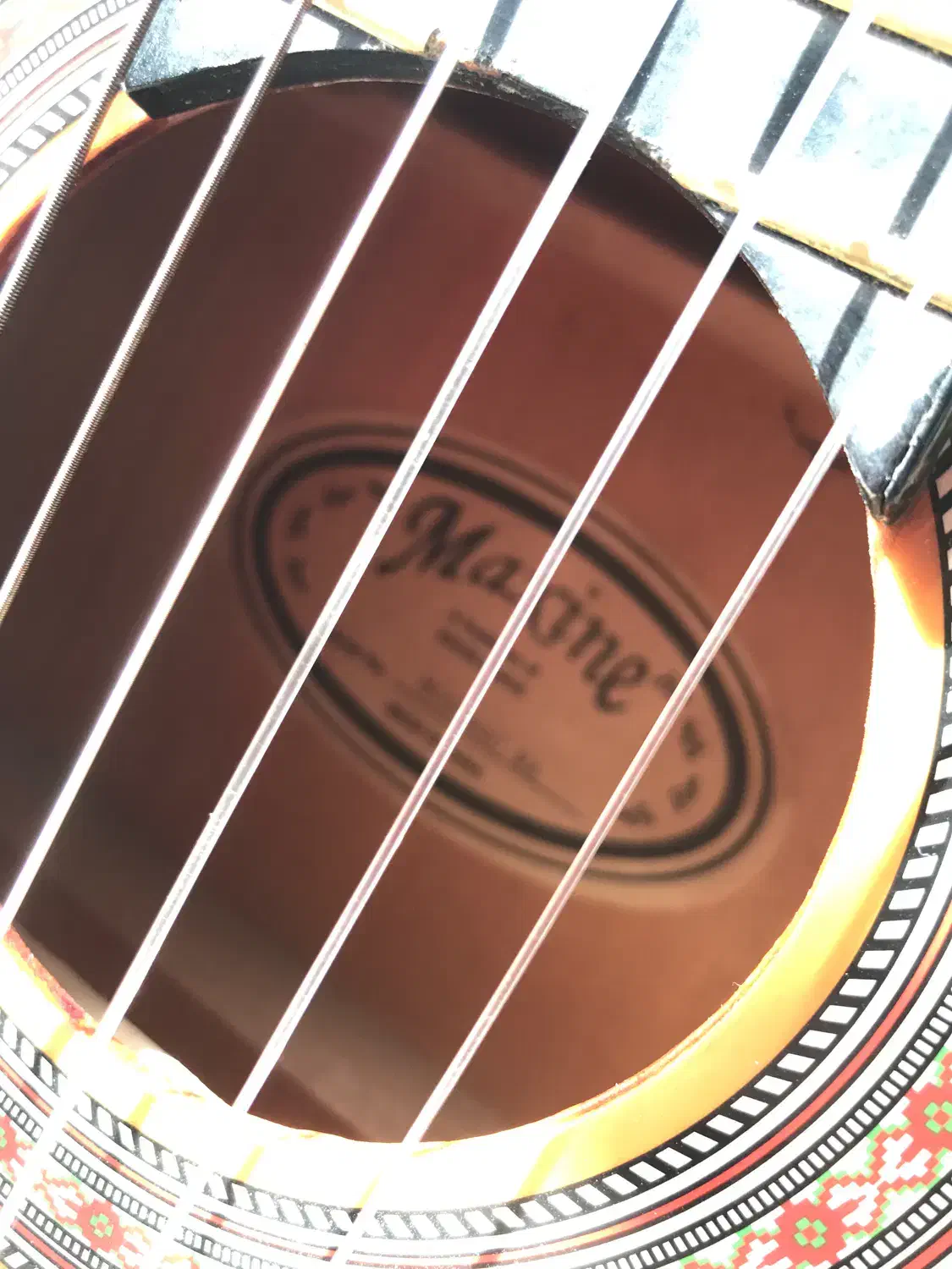 گیتار maxineبه همراه کیف|گیتار، بیس، امپلیفایر|قزوین, |دیوار